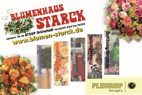 Starck Blumenhaus